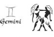 gemini image.grahnakshatra