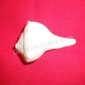 DakshinaVarti (Right Handed) Vishnu Shankh