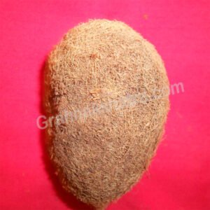Ekakshi Nariyal One Eye Coconut