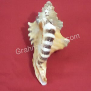Ganesh Shankh