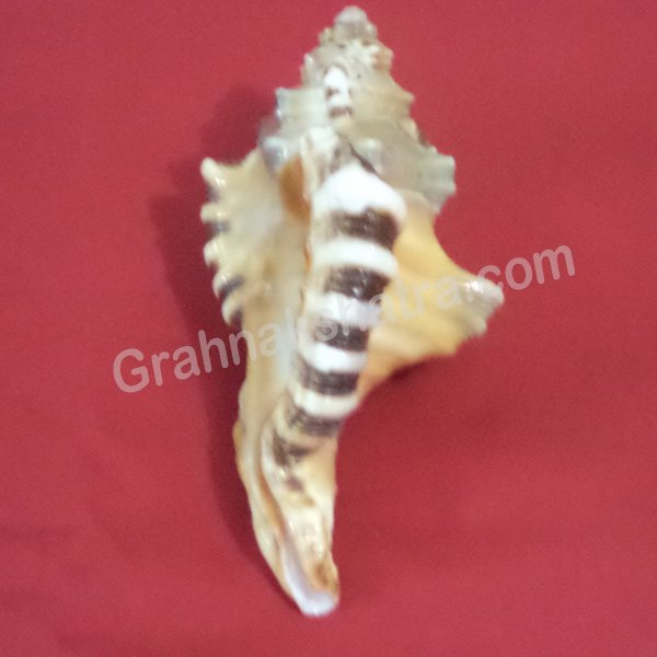 Ganesh Shankh
