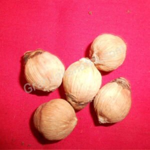 Laghu Nariyal (Small Coconut)