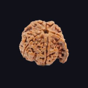 Ganesh Rudraksha