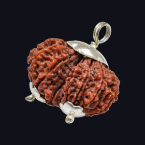 Gauri Shankar Rudraksha