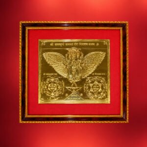 Lakshmi Narayan Yantra